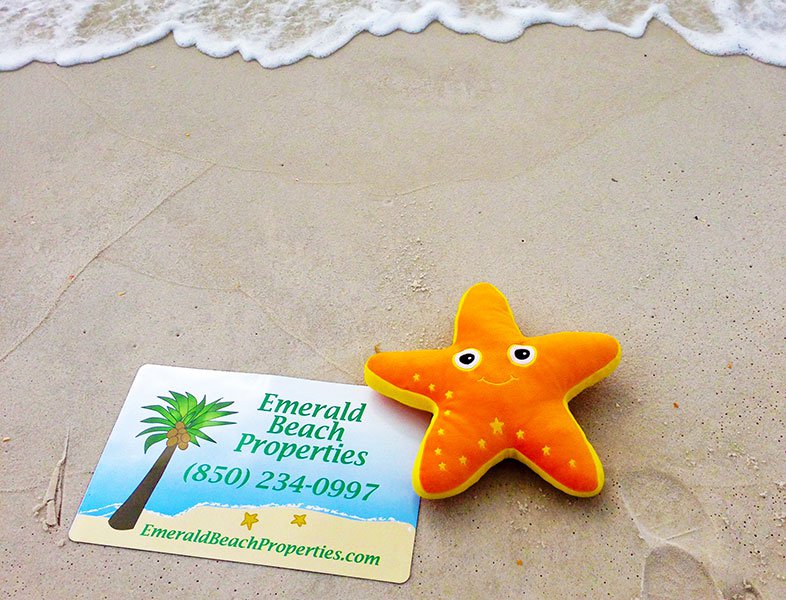 OWN A VACATION HOME OR WANT TO BUY ONE?