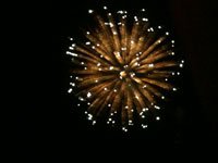 Events https://emeraldbeachproperties.icnd-cdn.com/images/events/Fireworks-(2).jpg