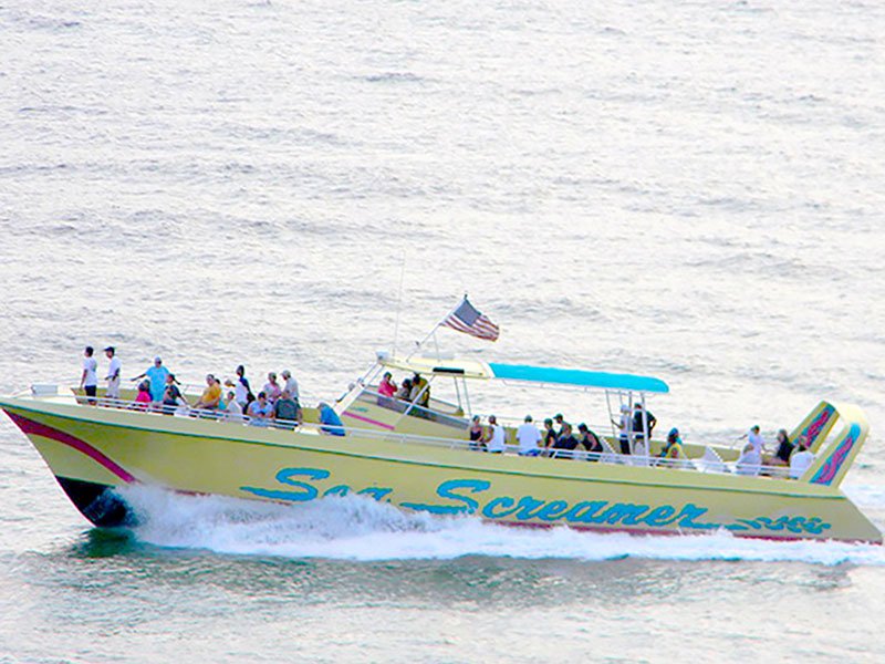 Things To Do https://emeraldbeachproperties.icnd-cdn.com/images/thingstodo/Sea-Screamer.jpg