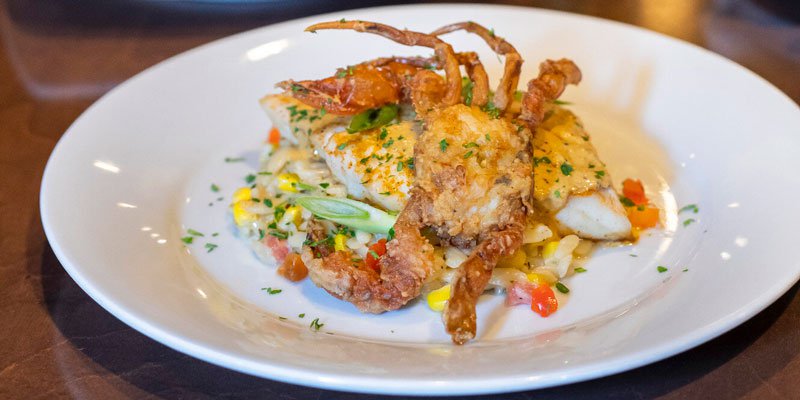 Things To Do https://emeraldbeachproperties.icnd-cdn.com/images/thingstodo/saltwater-grill-2019-005.jpg